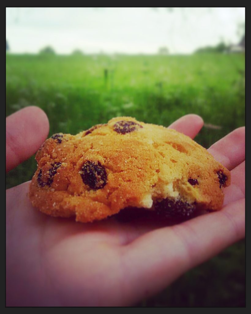 particolare del biscotti sanvigilino a Nottingham